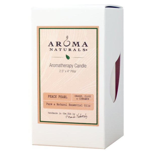 Warm Spice Holiday - 2.5x4 Naturally Blended Pillar